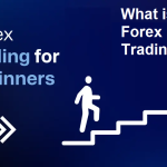 10 Tips for forex Trading Beginners | What is Forex Trading?